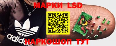 МДПВ Заводоуковск